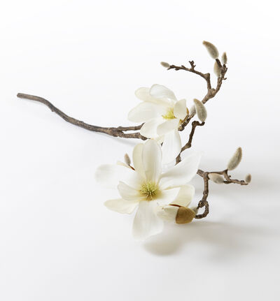 Kunstig hvit Magnolia H83cm